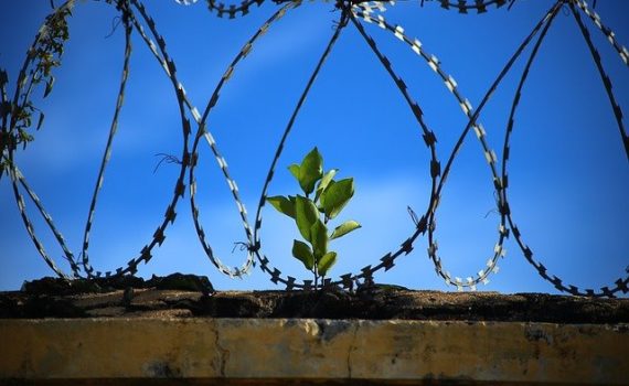 A man is condemned to death for giving cannabis to the sick in Malaysia