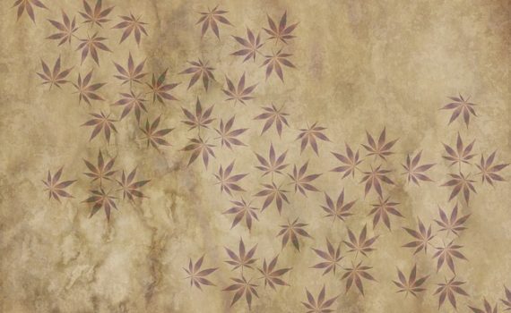 Sex and marijuana