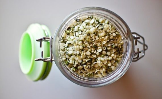 Hemp seeds proteins